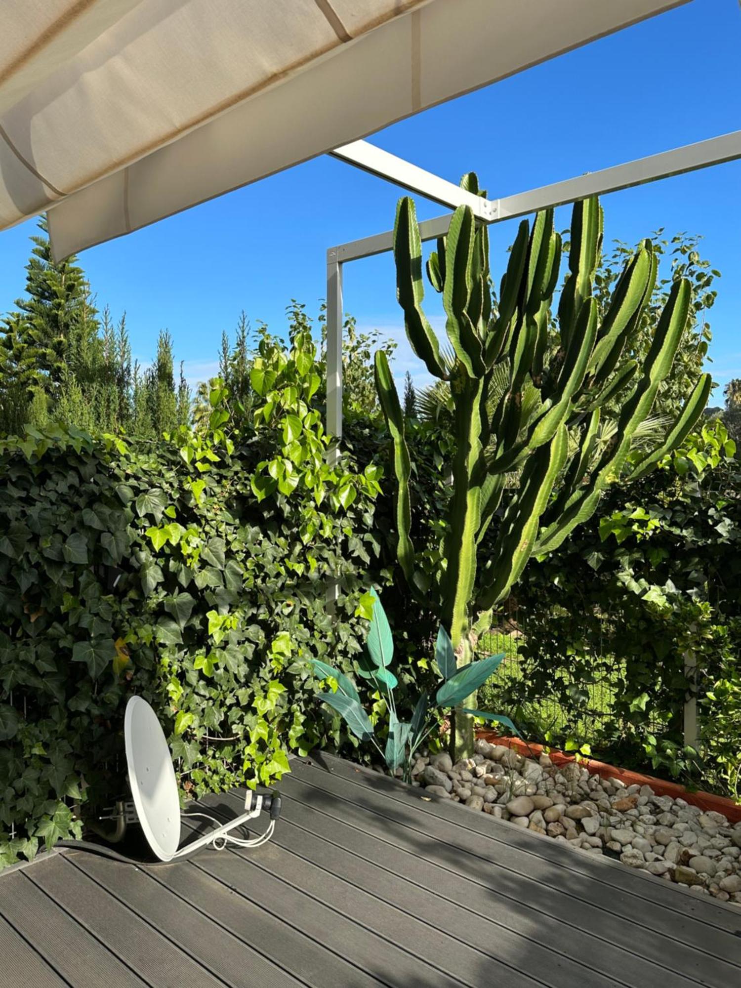 Aquamar Lägenhet Denia Exteriör bild
